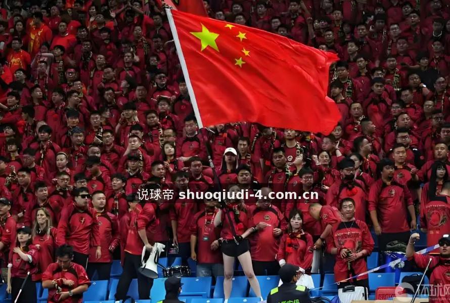 说球帝 关于我们数据可视化界面